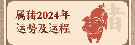 肖豬2024|属猪人2024年全年运势运程详解